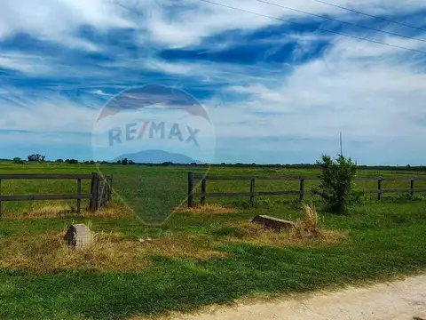 VENTA - LOTE 14.764 m² - CHACRAS DE OLIVIA, ZÁRATE