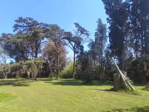 Casa - Venta - Argentina, San Miguel - Maestro Ferreyra 2801