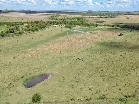 Chacra con casa y galpón, costa con arroyo Valdez