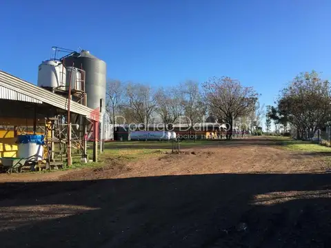 Campo en Venta Chacra