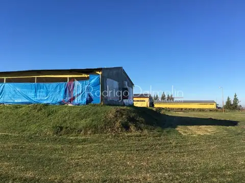 VENDO. Granja Avícola de Crianza de Pollos para Frigorífico.