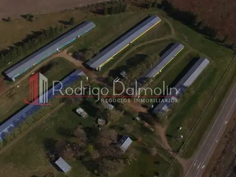 Campo en Venta en General Campos, Concordia