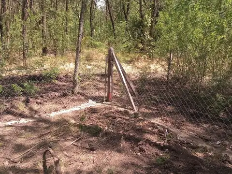 Terreno en Venta en Villa Del Parque, USD 14.900