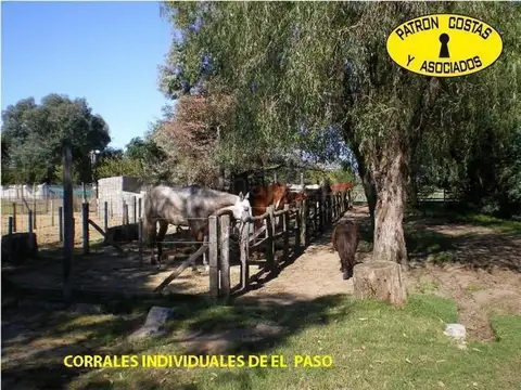 Quinta en Venta 1 año