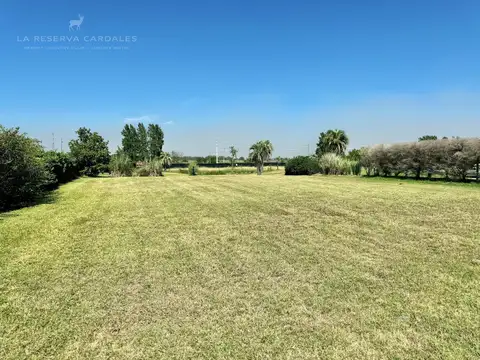 Terreno en Venta 50  mts Fondo