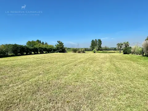 Terreno en Venta 20  mts Frente