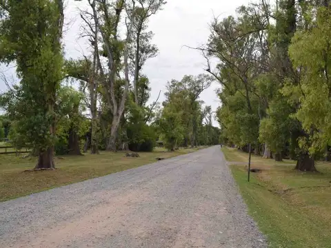 Ruta Provincial 192