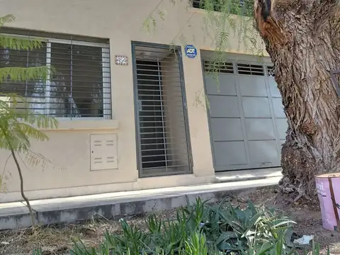 Jacarandá 400