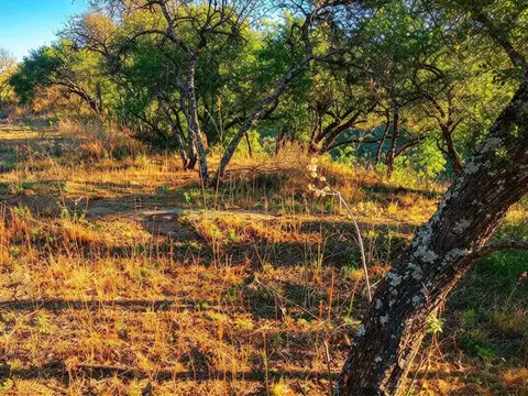 TERRENO EN VENTA EN EL BOLSON LISTO PARA ESCRITURA
