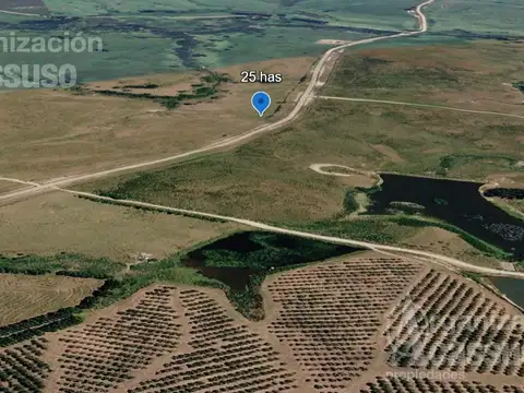 Terreno en Venta de 250000,0 m2