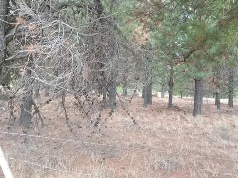 Terreno en Venta 100  mts Fondo