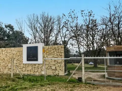 LOTE 1500M2, BARRIO AMARYLIS, EXTALTACIÓN DE LA CRUZ