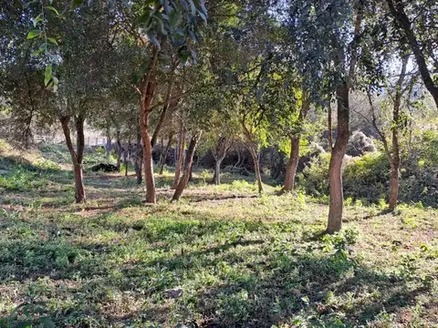 La Caldera. La Misión I. Mza 1B. Lote 100