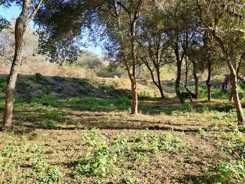 TERRENO VENTA LA MISION LA CALDERA