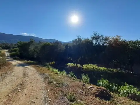 Terreno en Venta de 546,0 m2