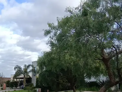 Casa en Alquiler de 4 dormitorios