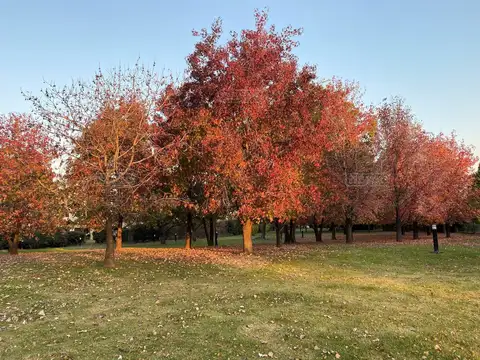 Terreno en Venta en Pilar Del Este, USD 33.000