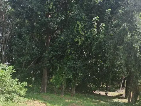 Terreno en Venta de 400,0 m2