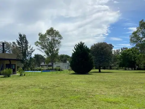 Casuarinas de Pilar