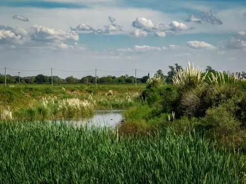 7 Lotes en Solares Norte - Pueblo Carcaraes
