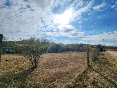 Las Reinamoras