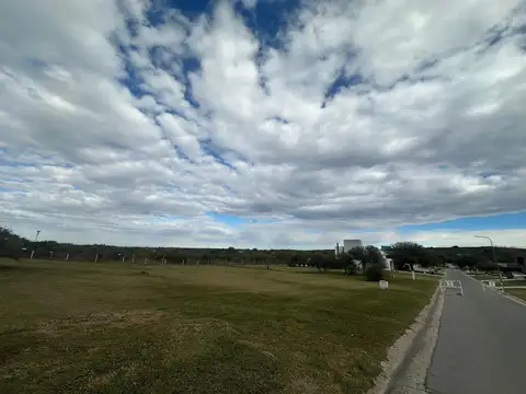 La Arbolada Hollywood