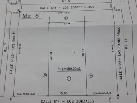 Los zorzales calle n4