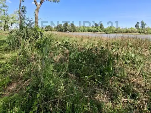 Terreno en Venta 25  mts Frente