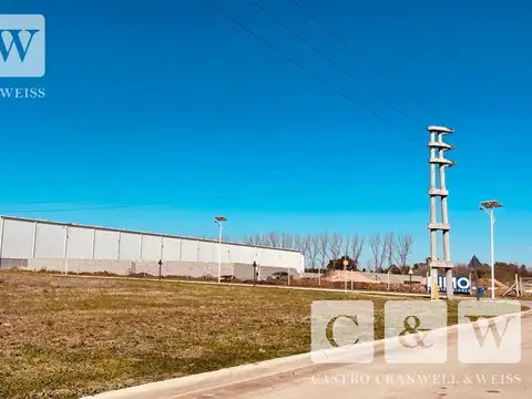 Ruta 6 al 100