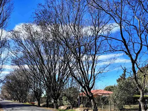 Terreno en Venta en Las Paredes, San Rafael