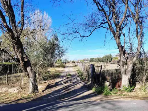 Terreno en Venta de 2000,0 m2
