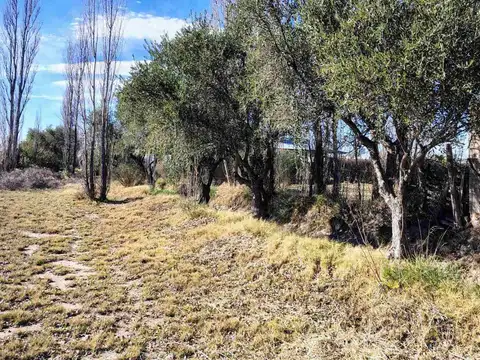 Terreno en Venta en Las Paredes, $ 29.000.000