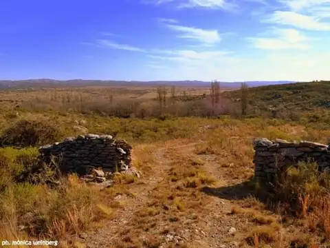 Campo en Venta Chacra