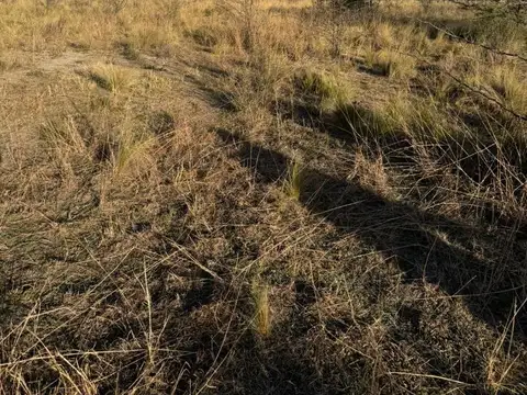 Terreno en Venta en Villa Cura Brochero, San Alberto