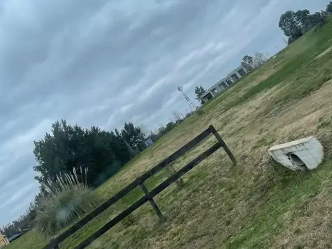 Camino Real Zarate - Baradero S/N