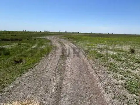 Campo Agricola-Ganadero en Venta - Roque Perez