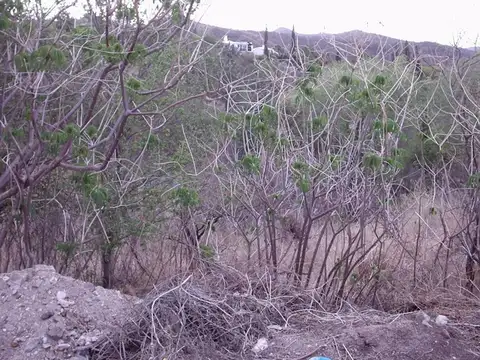 Terreno en Venta 