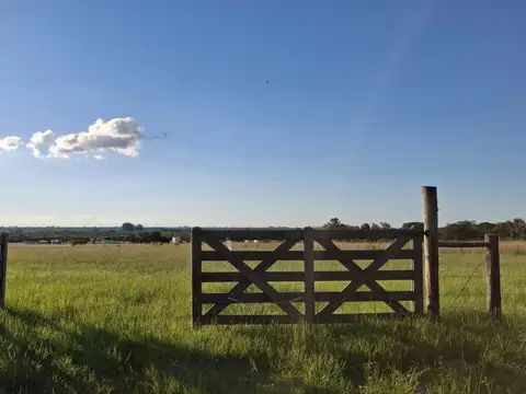 terreno de 1000m2 en carolina 700 mts de Ruta 12