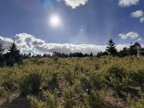 Terreno en Venta en Trevelin, USD 75.000