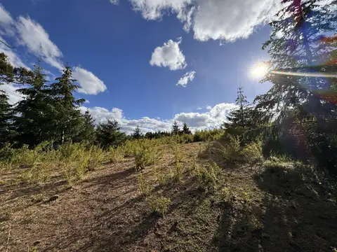 Callejón Ivor Williams