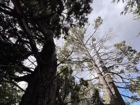 Terreno en Venta de 10000,0 m2