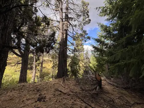 Terreno en Venta 100  mts Frente