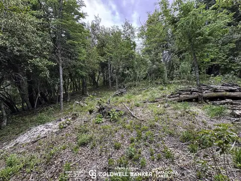 Terreno en Venta de 2278,0 m2