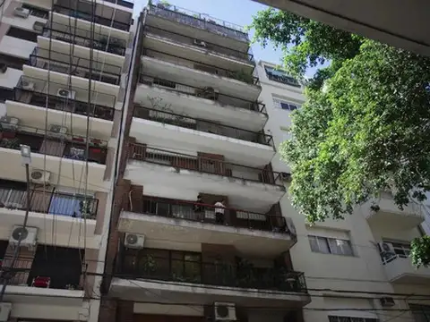 Larrea 1000