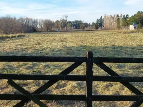 Barrio Los Pinos  \u002D Exaltacion de la Cruz