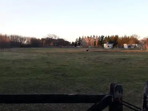 Barrio Los Pinos  \u002D Exaltacion de la Cruz