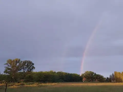 Terreno en Venta de 10687,0 m2