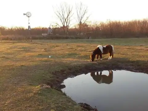 Terreno en Venta de 10687,0 m2