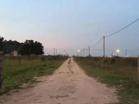 Terreno en venta - 1250 mts2 - 25 mts x 50 mts  - Arana