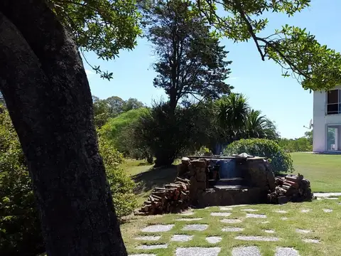Camino los Pirinchos 1200